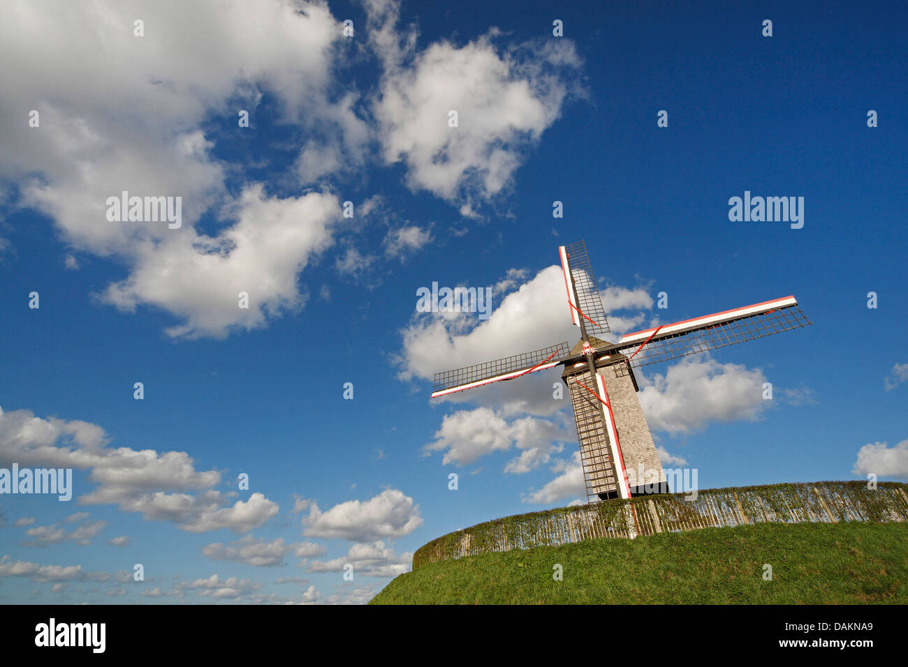 windmill on a grassy hill looming into blue sky, Belgium, Vlaamse Ardennen Stock Photo