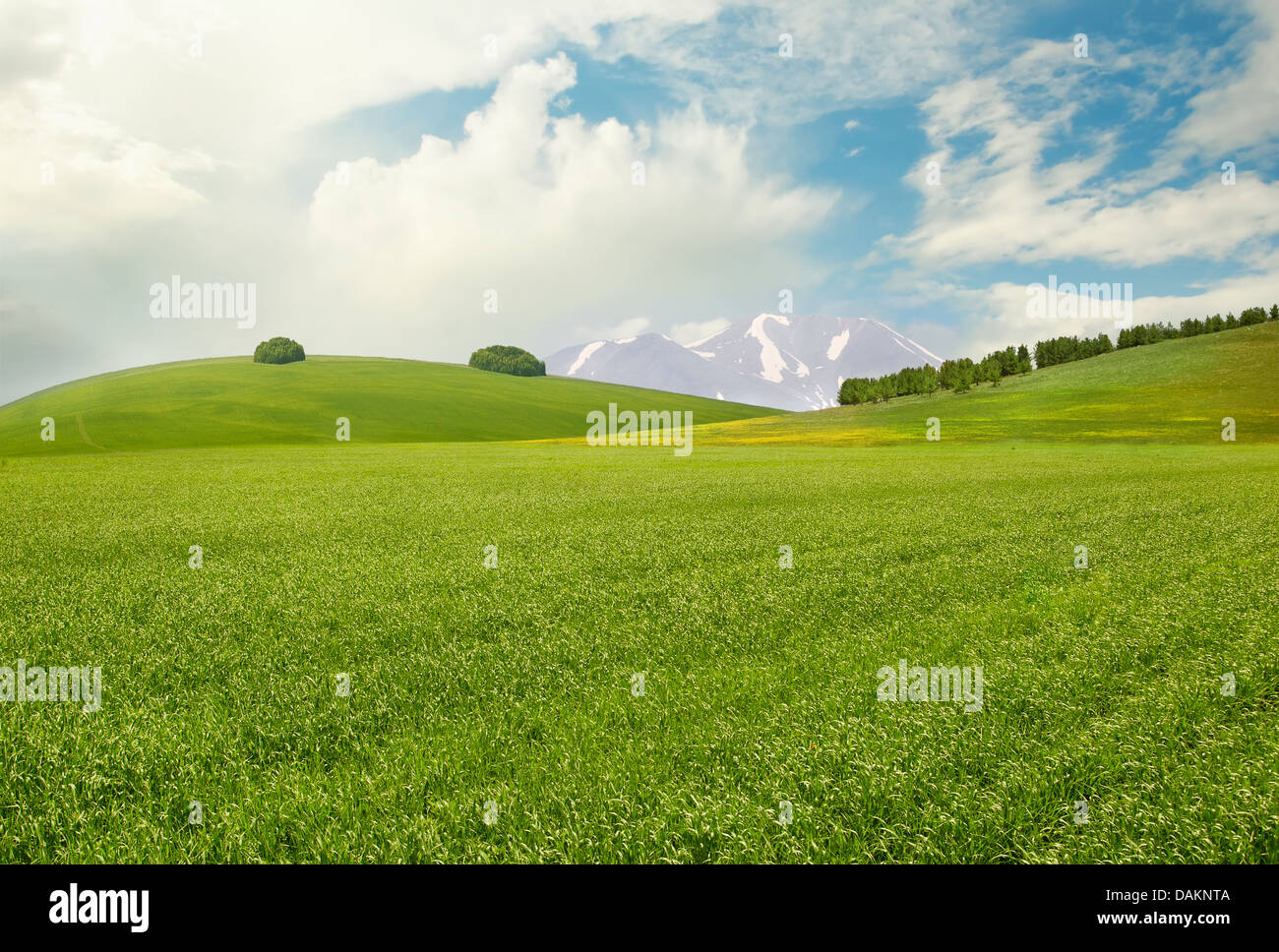 Peaceful landscape with meadow, hills, mountains and sky Stock Photo
