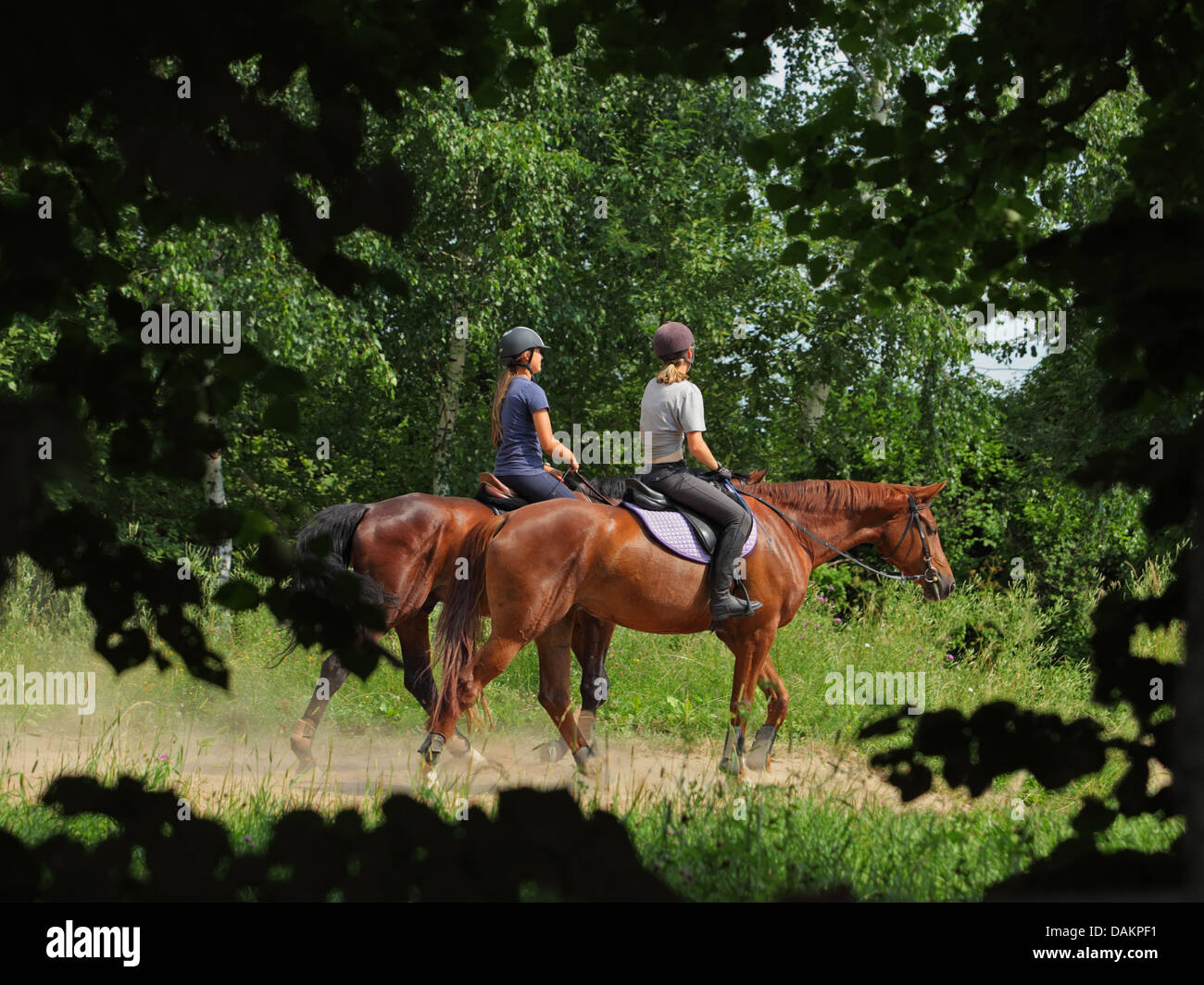 Two  young girls riding horseback on a forest road Stock Photo