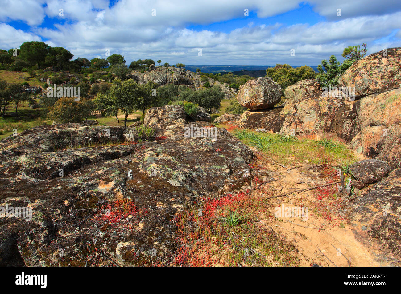 typical landscape of Sierra de And�jar Nature Park, Spain, Andalusia, Jaen, Sierra Morena Stock Photo