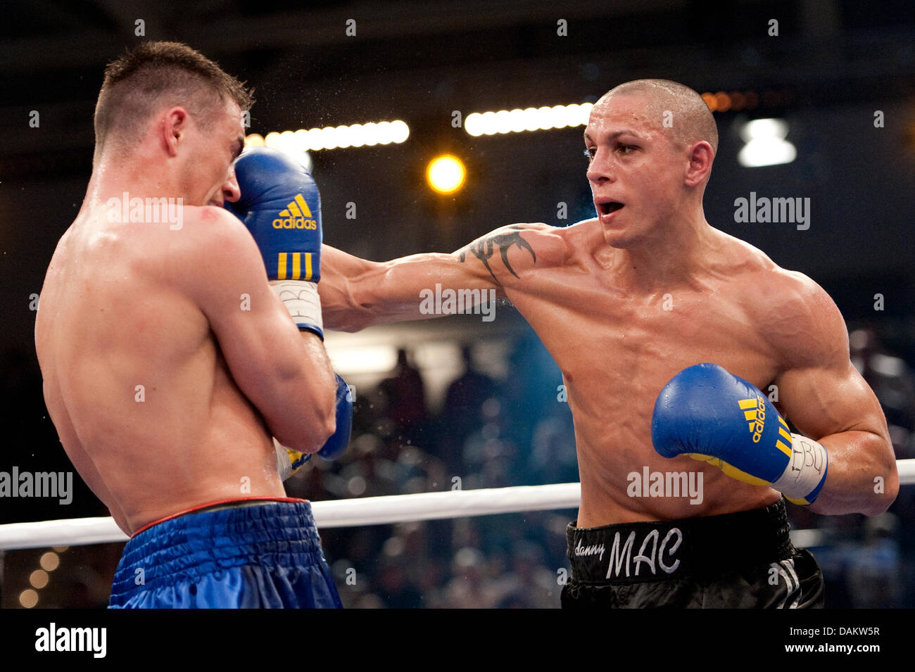 German boxer Eduard Gutknecht (L) and English boxer Danny McIntosh fight  during the European championship match in Neubrandenburg, Germany, 07 May  2011. Gutknecht won in round eight by a technical knock-out and