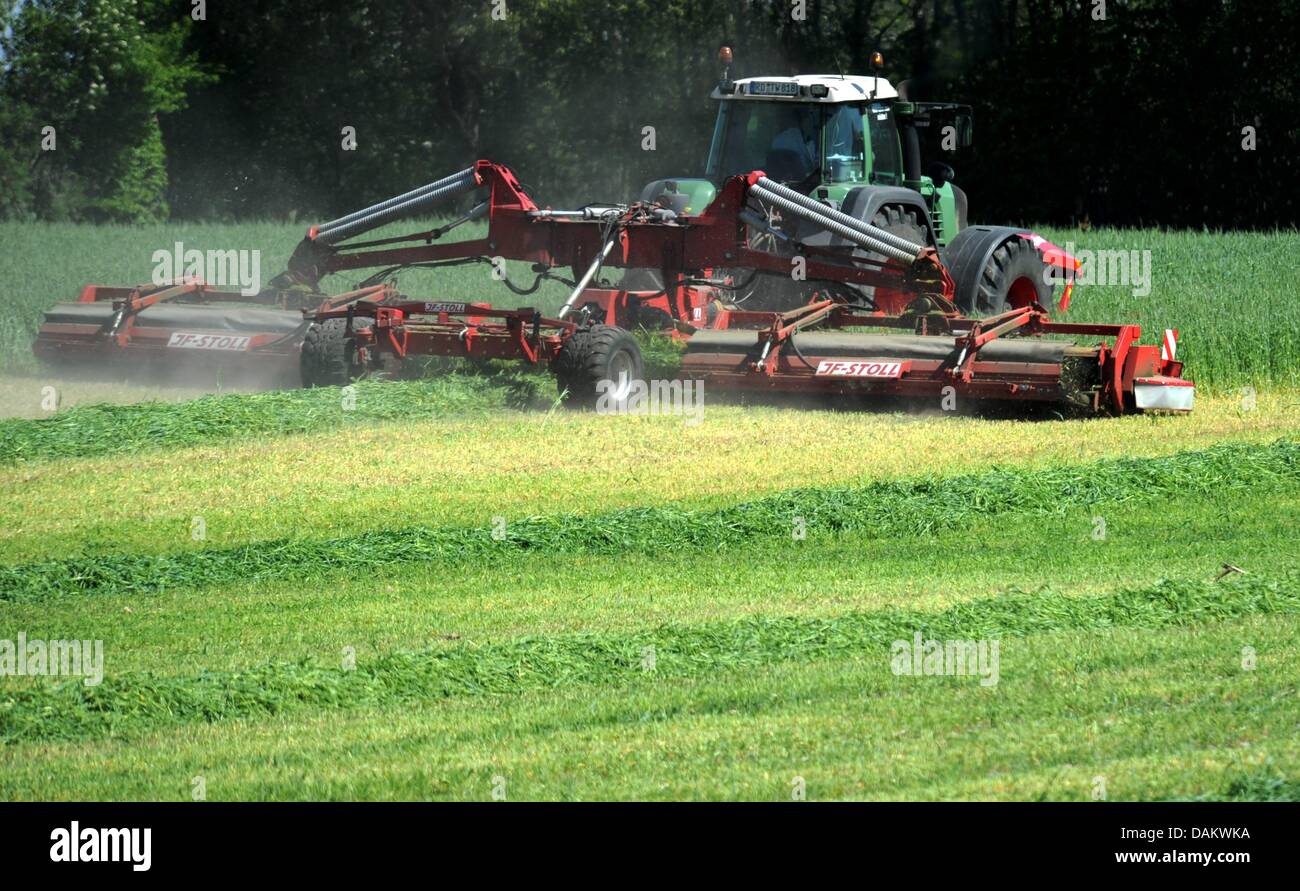 Rye is mowed in a dry field near Barlohe, Germany, 09 May 2011. After ...