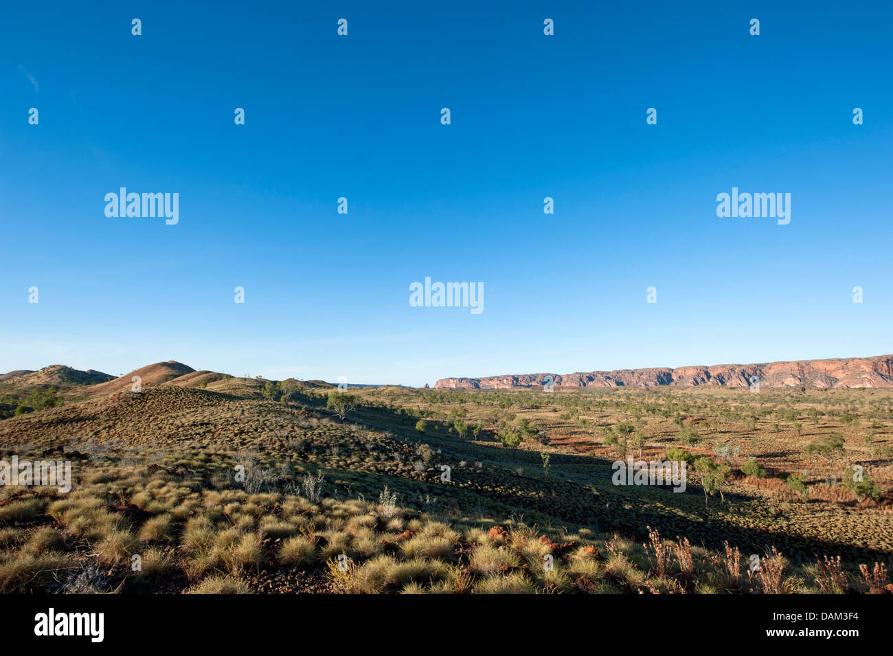 View of the Bungle Bungle massif of Purnululu National Park from  Kungkalahayi Lookout, Kimberley, Western Australia Stock Photo