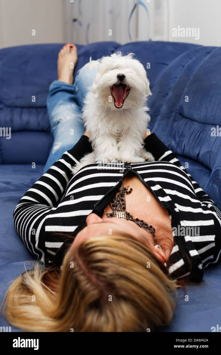 Woman lying on sofa with maltese dog hi-res stock photography and ...
