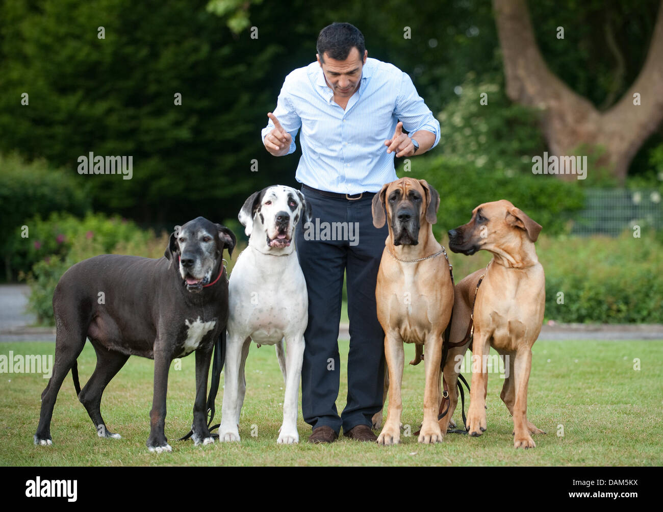 Actor Erol Sander stands between four Great Danes in Dortmund, Germany ...