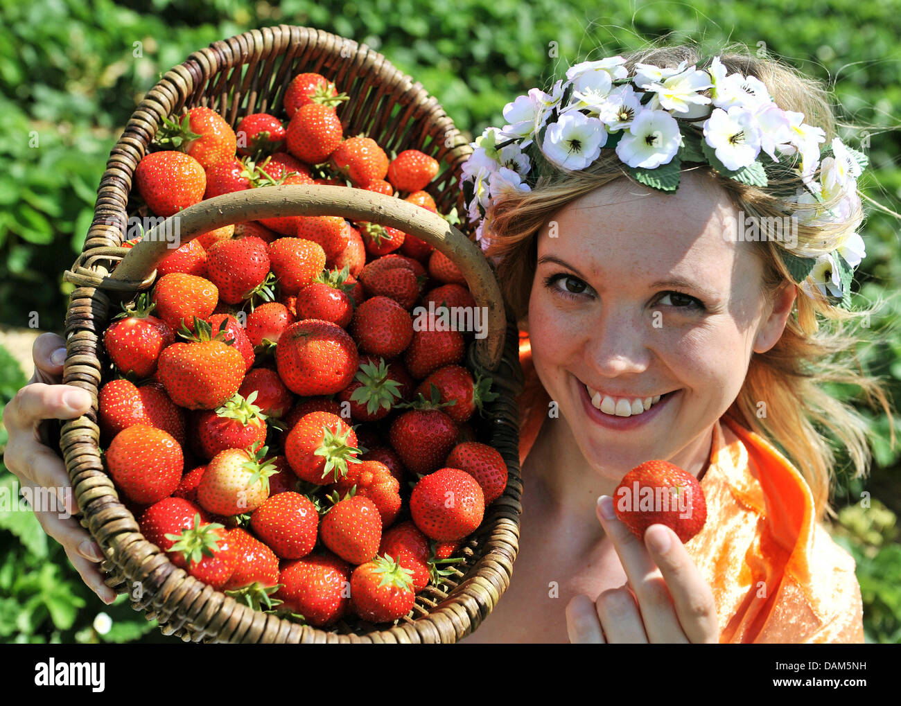 Strawberry Queen