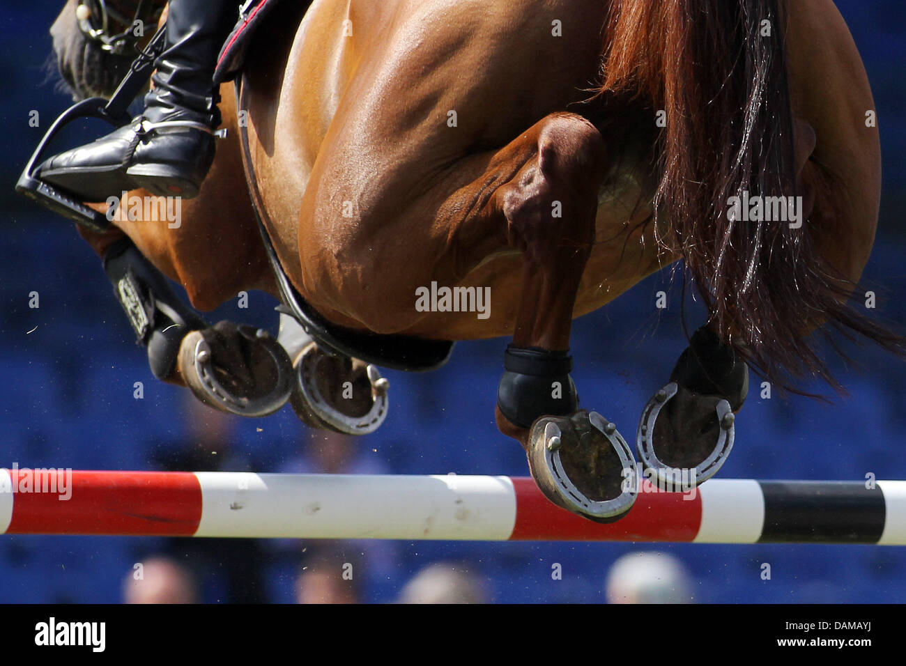 German equestrian Andre Thieme and his horse 'Aragon Rouet' jump over a hurdle during the championship in the course of the German Equestrian Derby in Hamburg, Germany, 2 June 2011. The Irish equestrian Lynch won the tournament. Photo: Malte Christians Stock Photo