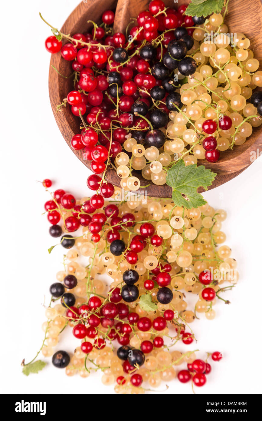 currants different of colors - red, black, white Stock Photo