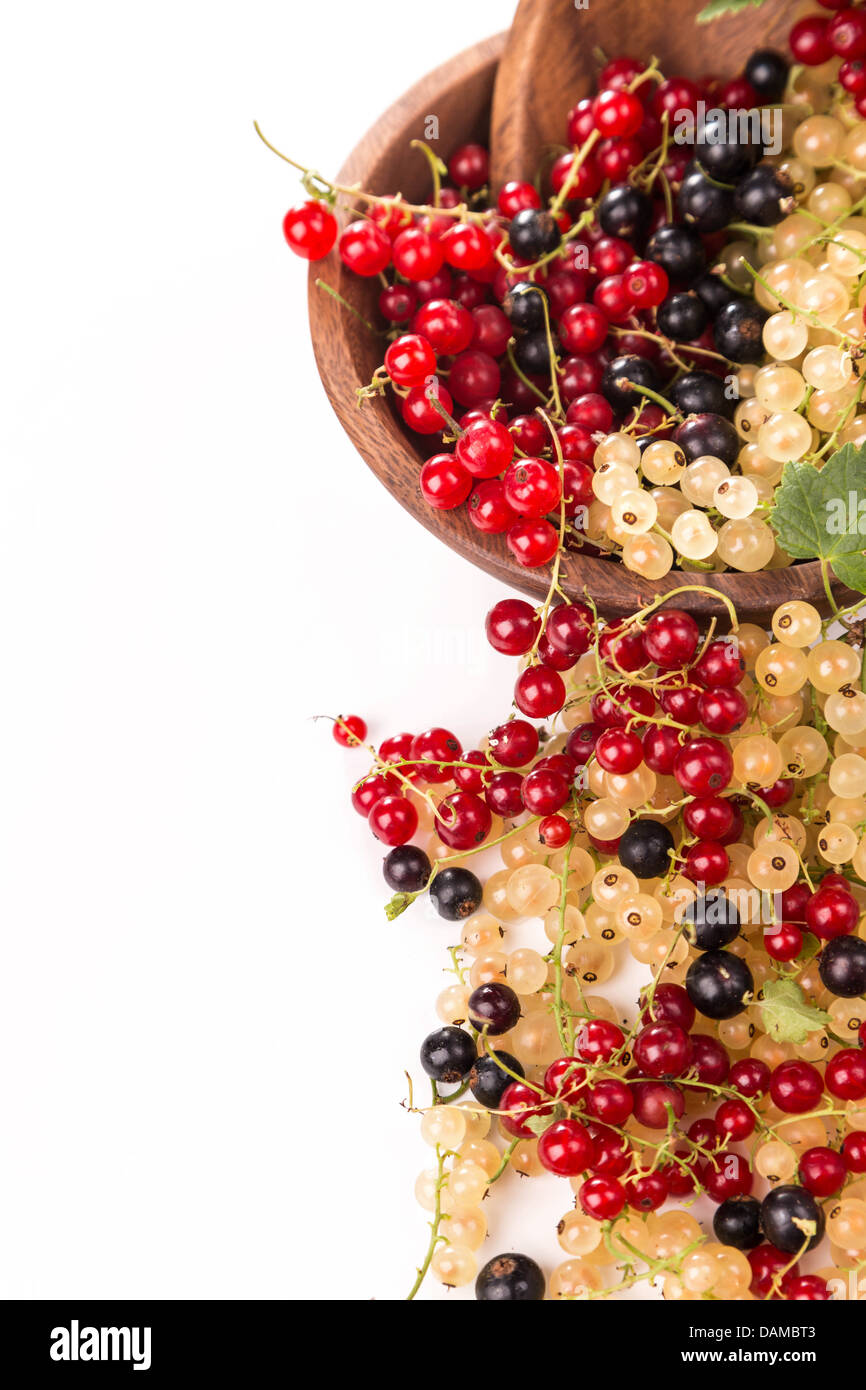 currants different of colors - red, black, white Stock Photo