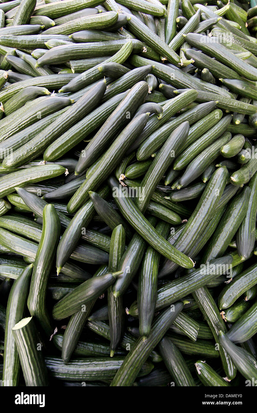 Cucumbers lie in the city centre of Hamburg as farmers and salespeople give away vegetables as presents, Germany, 10 June 2011. With the motto 'Our vegetables are clean and harmless' the farmers and salespeople wish to point to the devastating situation they are in, since the EHEC bacteria has spread. Current warnings regarding the consumption of raw tomatoes, cucumbers and salads  Stock Photo
