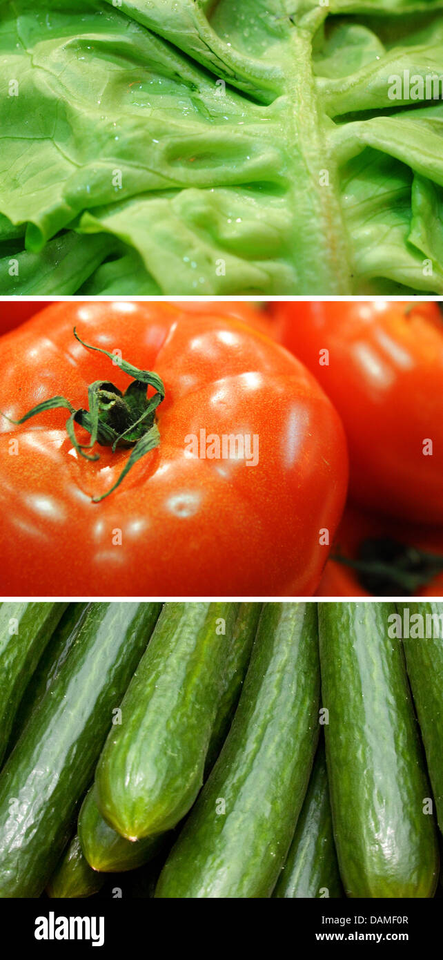 (FILE) - A complilation of pictures dated 25 May 2011 shows salad, tomatoes and cucumbers in Hanover, Germany. Current warnings regarding the consumption of raw tomatoes, cucumbers and salads, due to possible infections of EHEC have been stopped, according to the German Press Agency (dpa). The consumption of sprouts is still seen to be a risk. Photos: Stratenschulte/Pleul Stock Photo