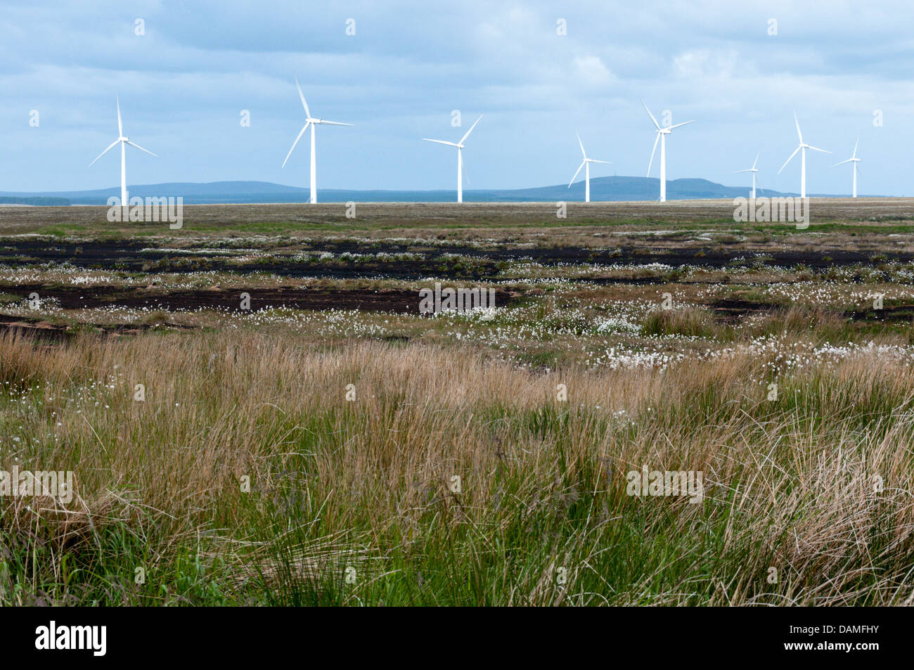 Causeymire Wind Farm operated by RWE Npower Renewables on the Scottish flow country to the south of Thurso, Caithness. Stock Photo