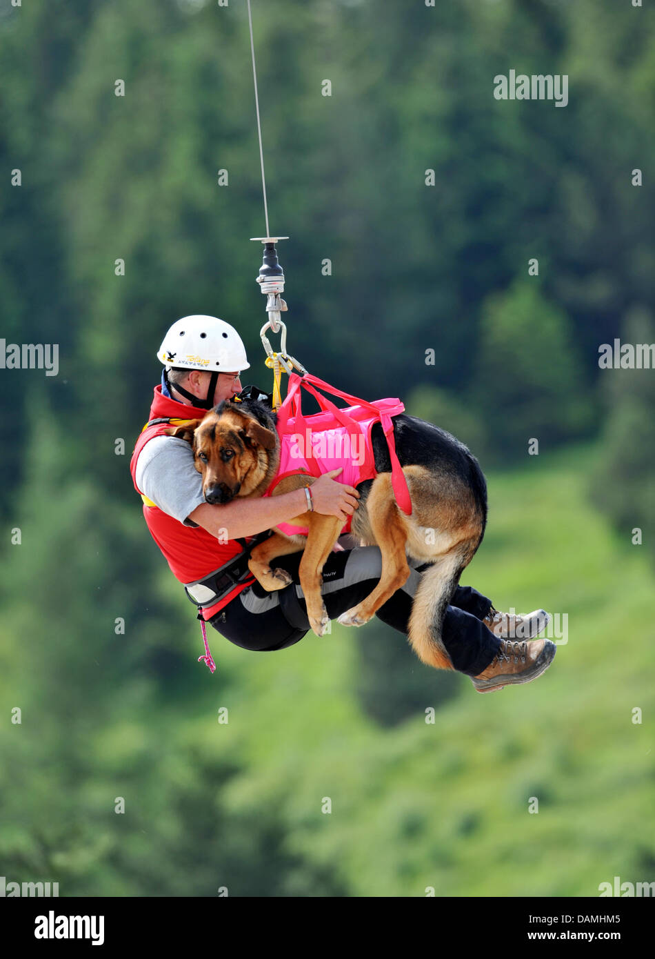 Helicopter rescue dog hires stock photography and images Alamy