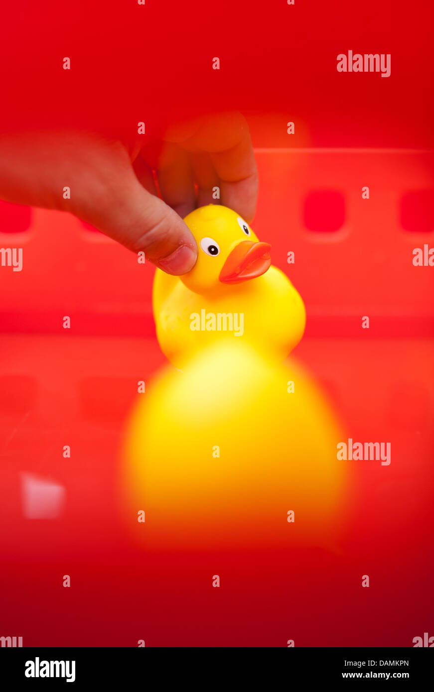 numbered rubber ducks