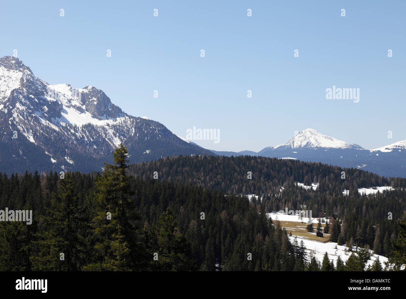 Forest and snow on the Dolomites, Nova Levante, South Tyrol Stock Photo