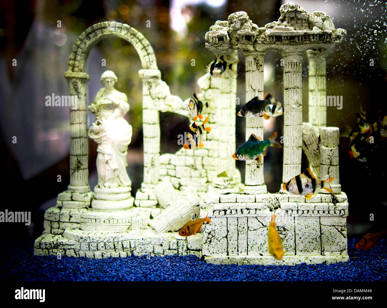 Fish swim around mock antique ruins in an aquarium at a Greek
