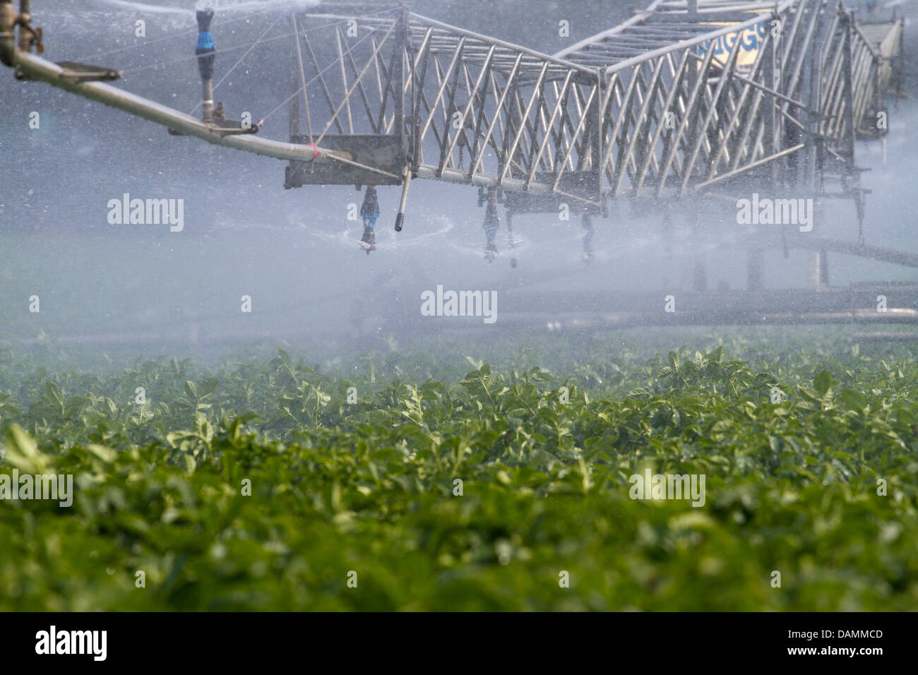 Centerpivot irrigation also called waterwheel and circle irrigation