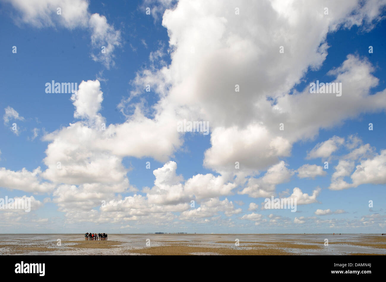 A group of hikers walks at low tide between the North Sea island Neuwerk in Hamburg Wadden Sea National Park and the seaside resort town, Sahlenburg, Germany, 24 June 2011. The decision about whether the Hamburg part of the Wadden Sea will be named a World Natural Heritage site by UNESCO is being delayed and was originally to be decided on 24 June 2011 in Paris. Photo: INGO WAGNER Stock Photo