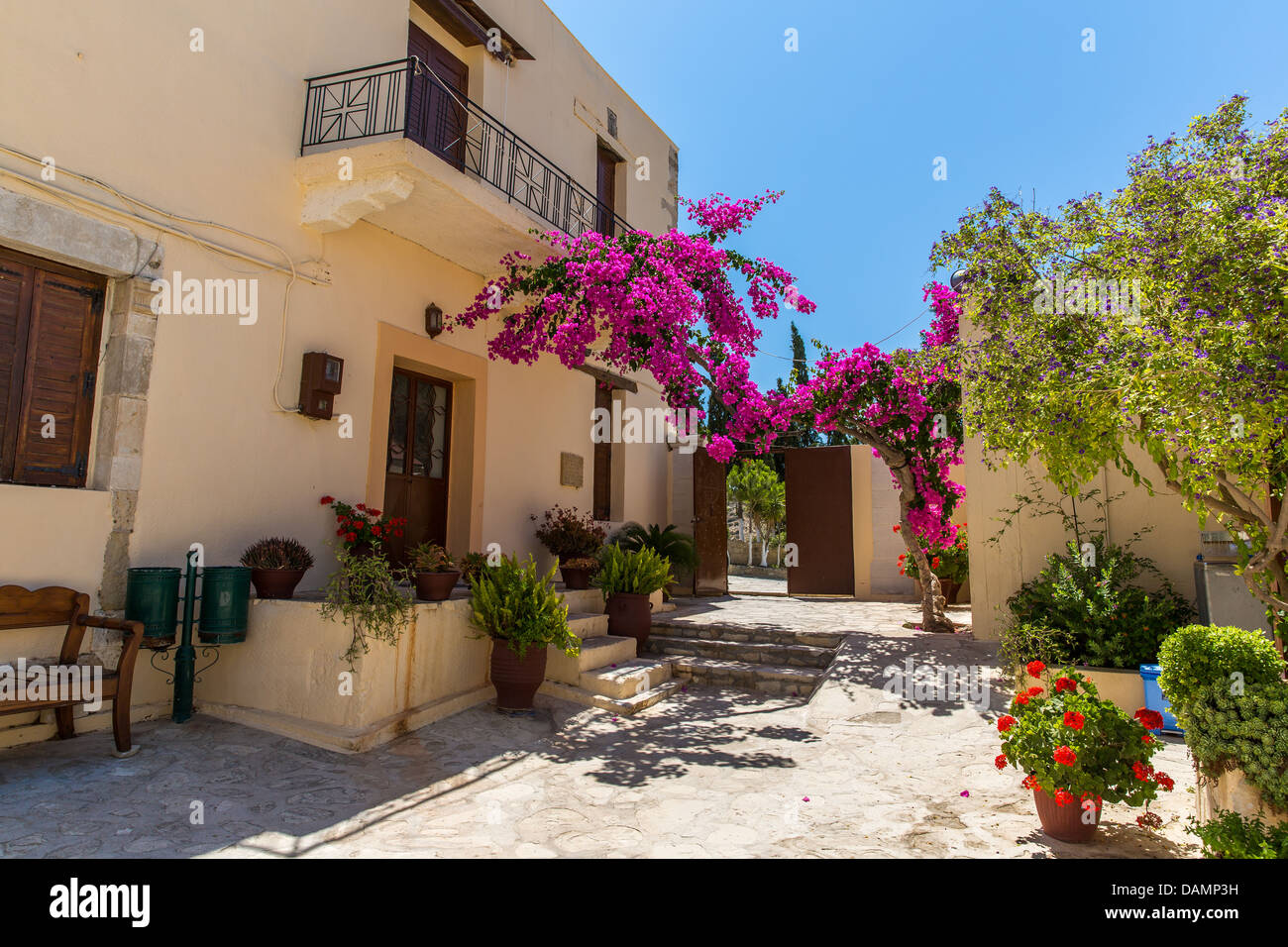 Branches of flowers pink bougainvillea bush on Balcony in street, Crete ...