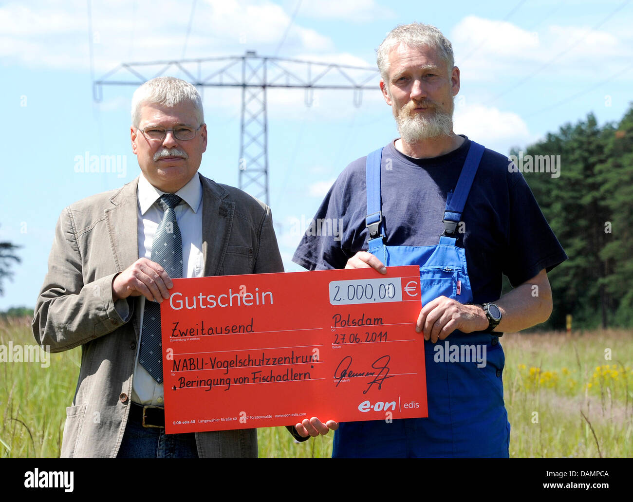 Joachim Baumgart (L) from E.ON edis power company presents Paul Soemmer, director of the nature preservancy station Woblitz, a voucher for the Osprey ringing project near Fuerstenberg, Germany, 27 June 2011. Around 200 young Ospreys are being ringed by the E.ON edis in close cooperation with the Environmental Agency of the State of Brandenburg, because the species was almost extinc Stock Photo