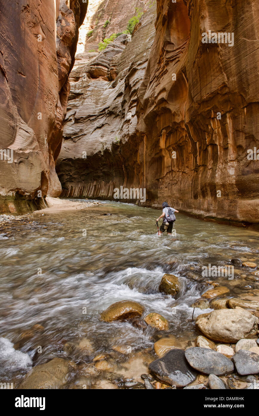 Hiker in The Narrows, Zion National Park, Utah Stock Photo