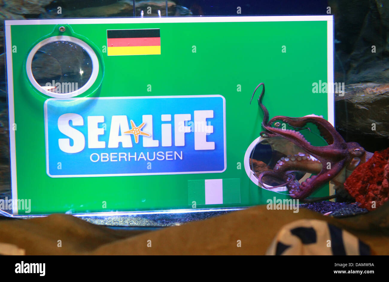Sea Life Oberhausen Germany High Resolution Stock Photography And Images Alamy