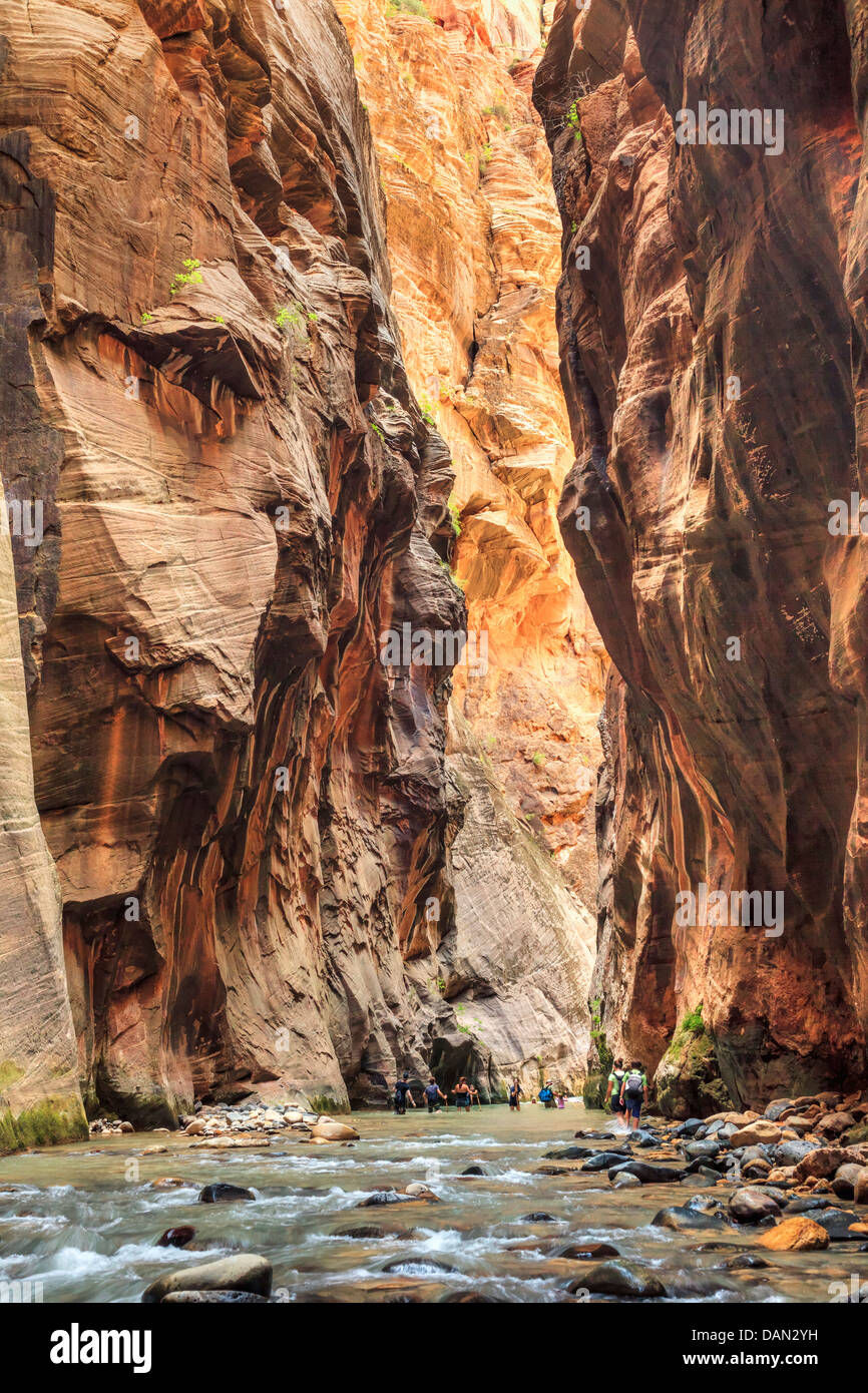 USA, Utah, Zion National Park, The Narrows, Hiker inside the Canyon Stock Photo