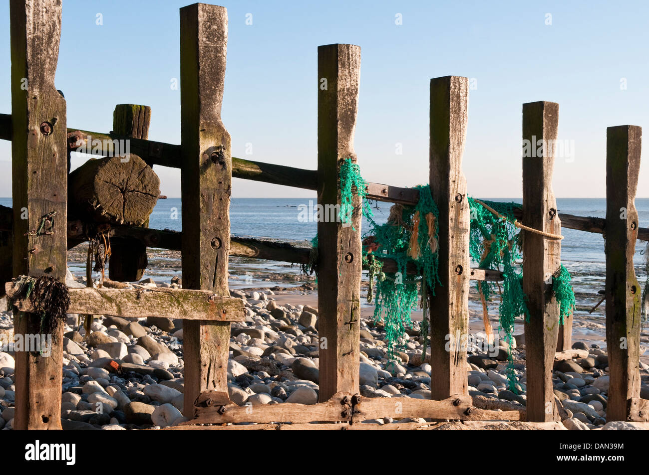 Battered wooden sea defence groyne on the beach at Eastbourne, East