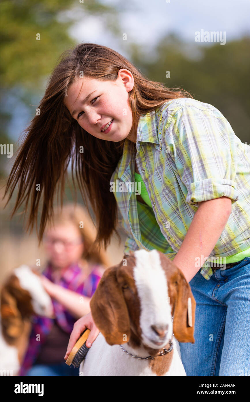 USA, Texas, Young girls grooming Boer show goat for stock show on