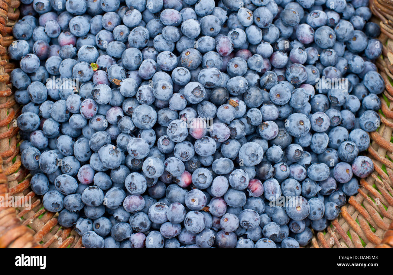 Hohenwalde hires stock photography and images Alamy