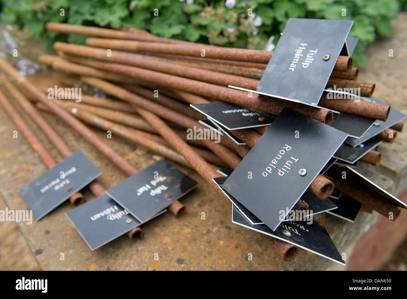 Plant markers hi res stock photography and images Alamy