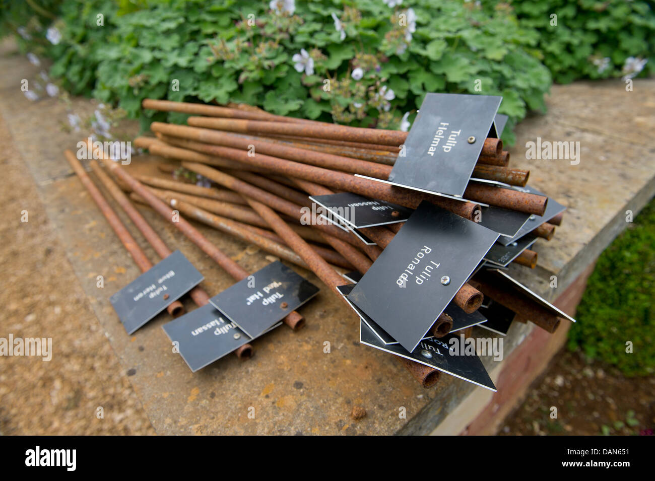 A bundle of gardeners plant markers to identify specimens for a open day UK Stock Photo