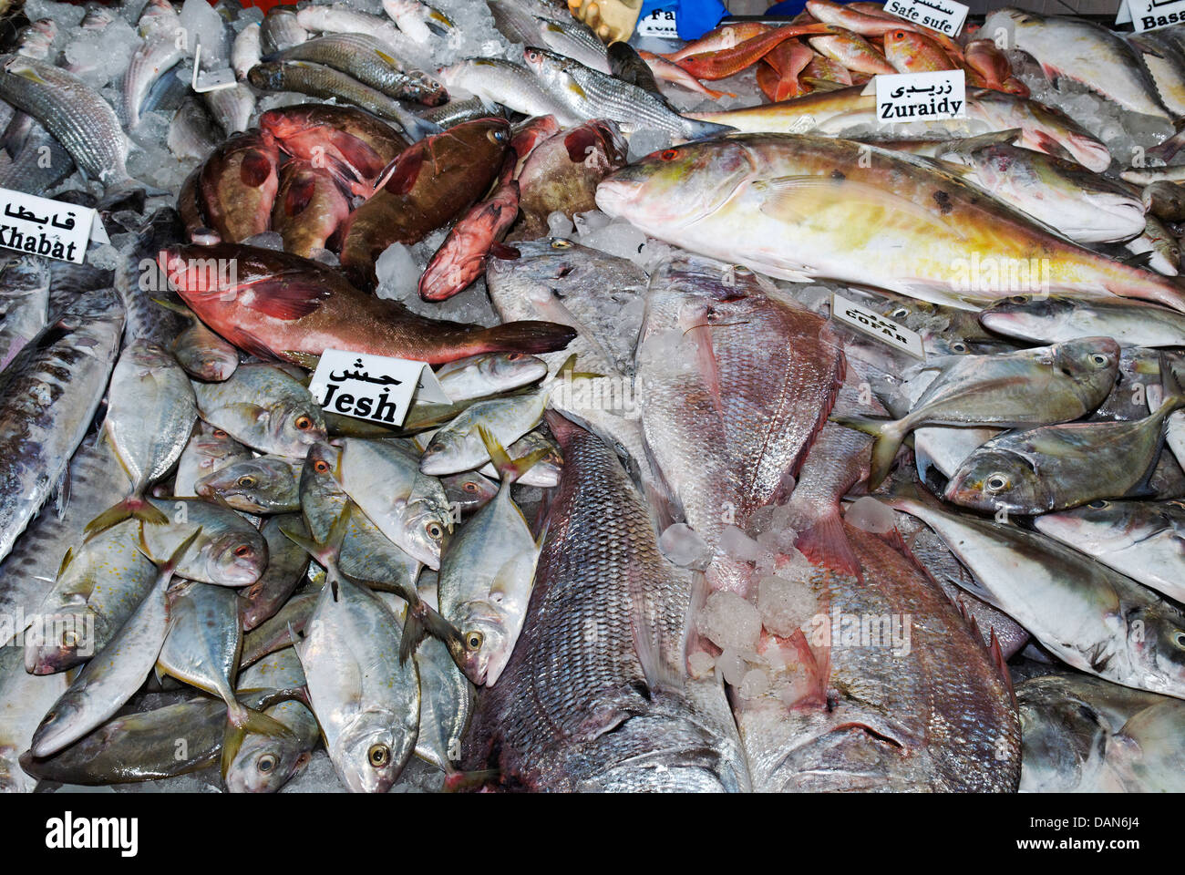 Abu dhabi fish market hires stock photography and images Alamy