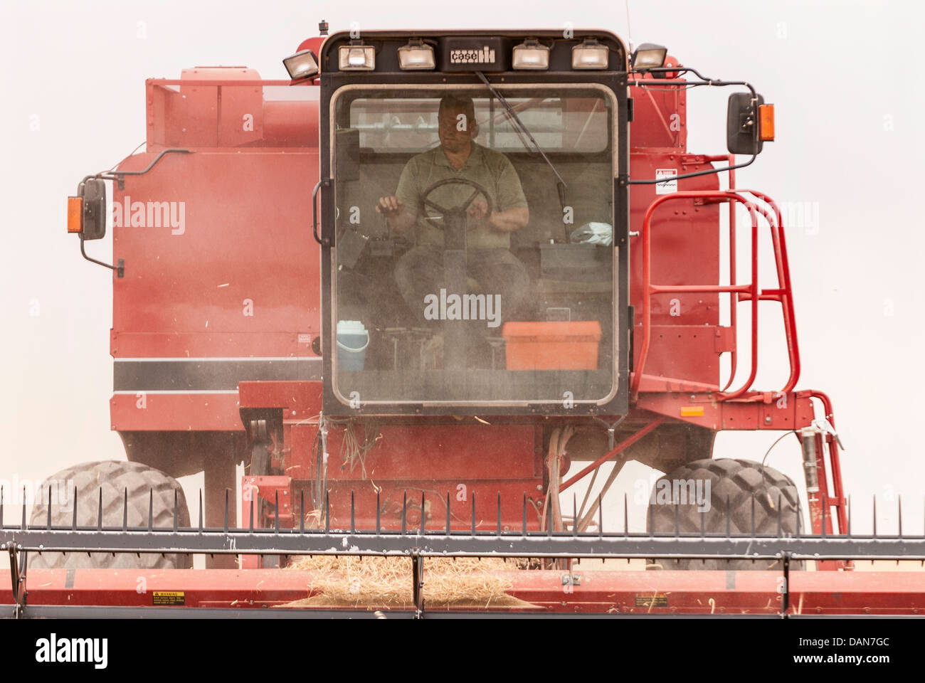 Coupons dans big farm mobile harvest