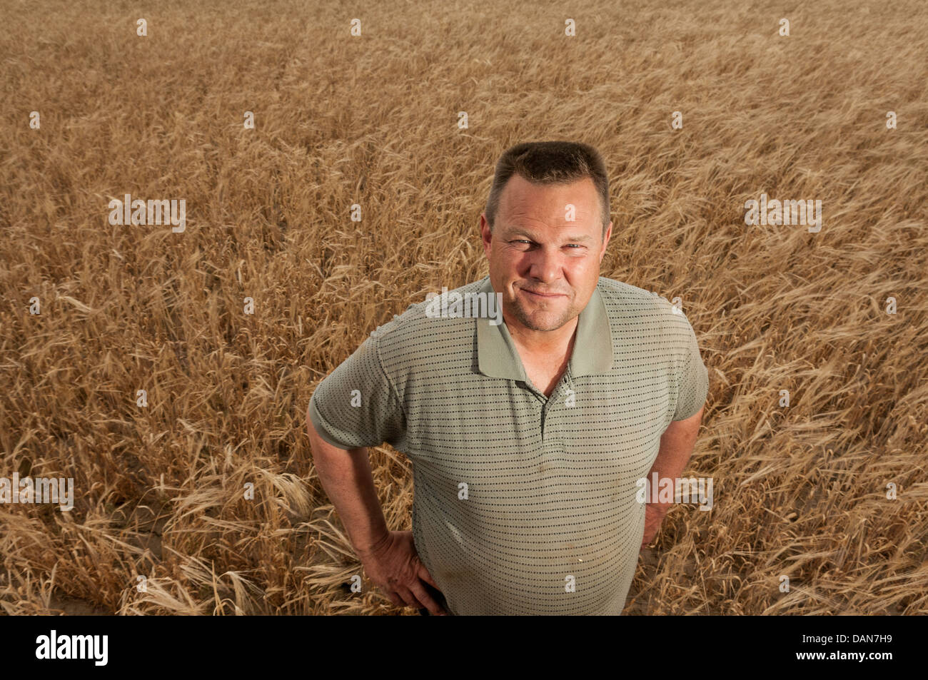 U.S. Sen. Jon Tester, DMont,, poses in a barley field on his farm near