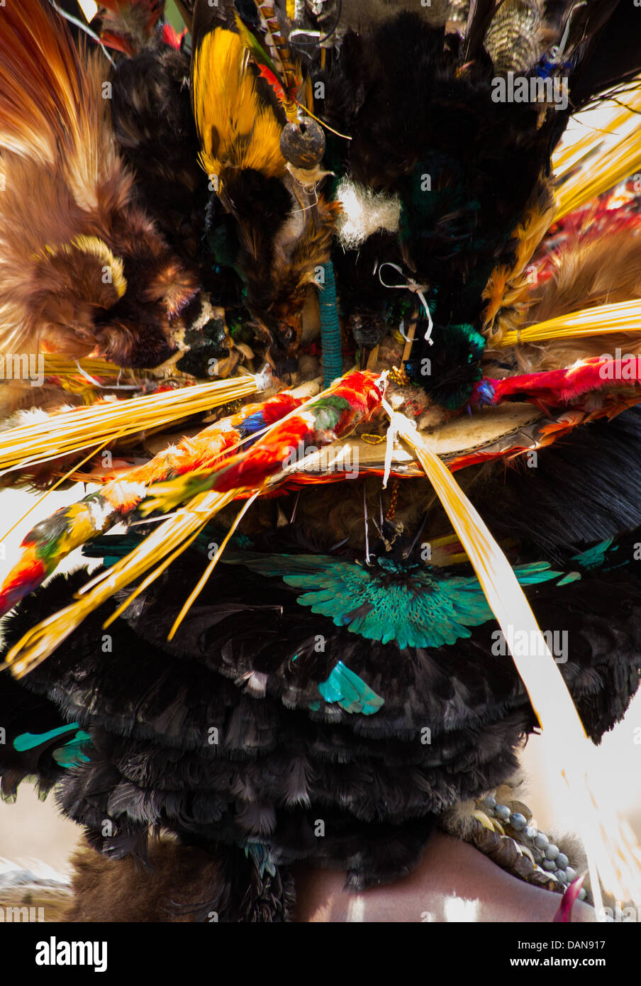 Feathers and birds in a headdress of a Papua New Guinea tribe, Goroka Festival, Papua New Guinea Stock Photo