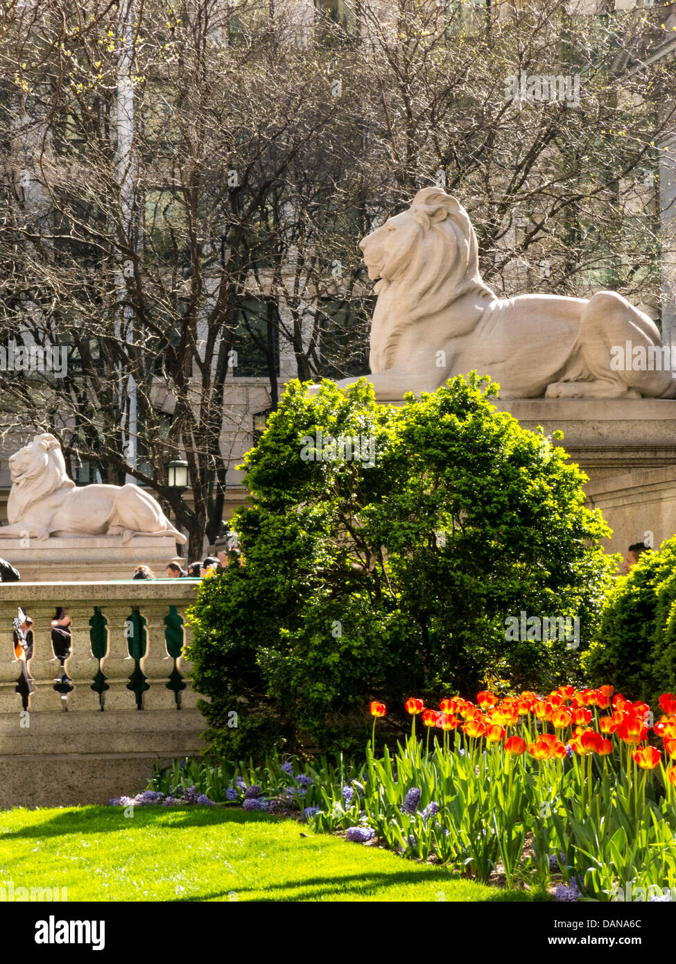 New york public library and lions hires stock photography and images