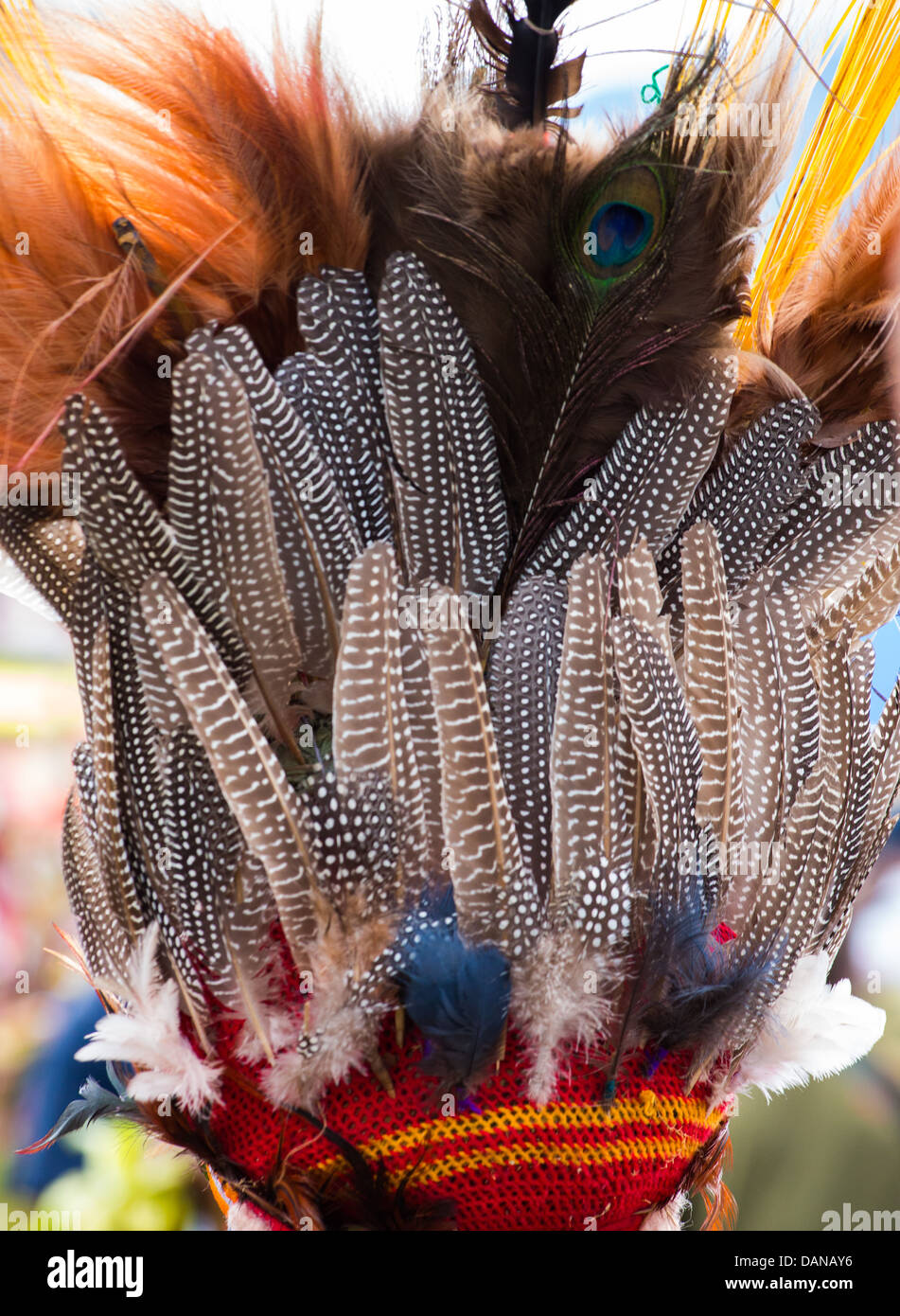 Traditional tribal headdress made from feathers, Goroka Festival, Papua New Guinea Stock Photo
