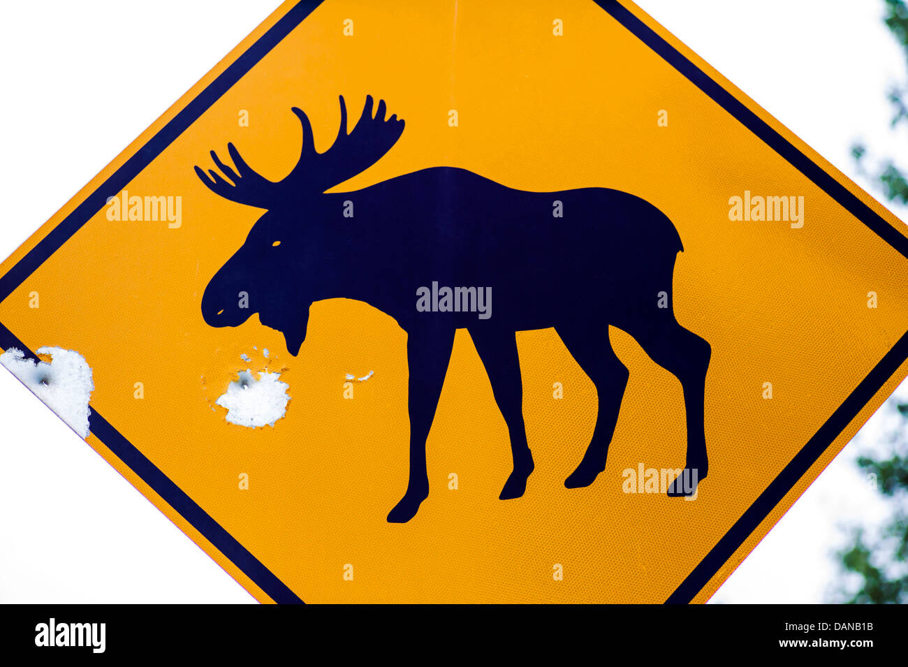 Moose crossing road sign with bullet holes, Glen Highway; Highway 1, Alaska, USA Stock Photo