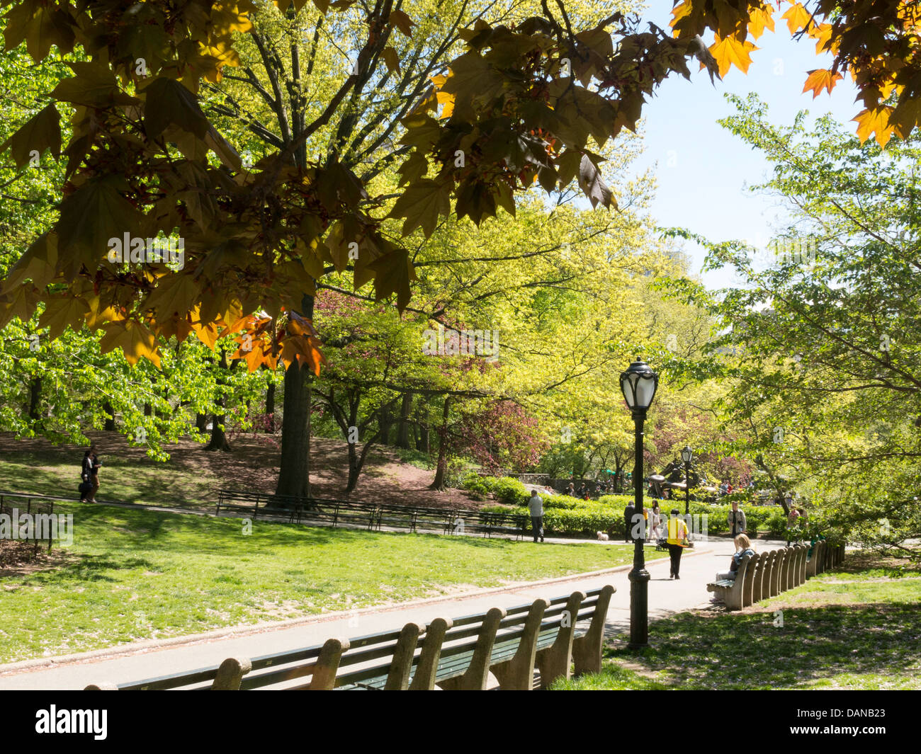 Walking Path in Central Park New - Walking Path In Central Park New York City DANB23 