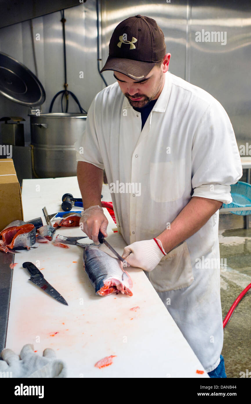 Worker cleans fresh Red Salmon from the Copper River, New Sagaya's