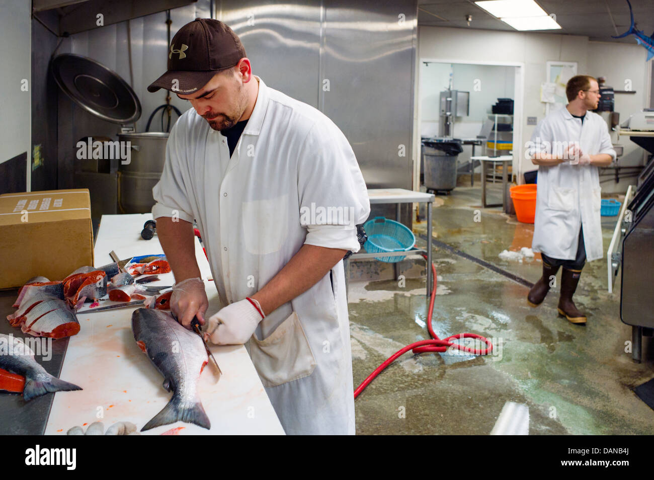 Worker cleans fresh Red Salmon from the Copper River, New Sagaya's