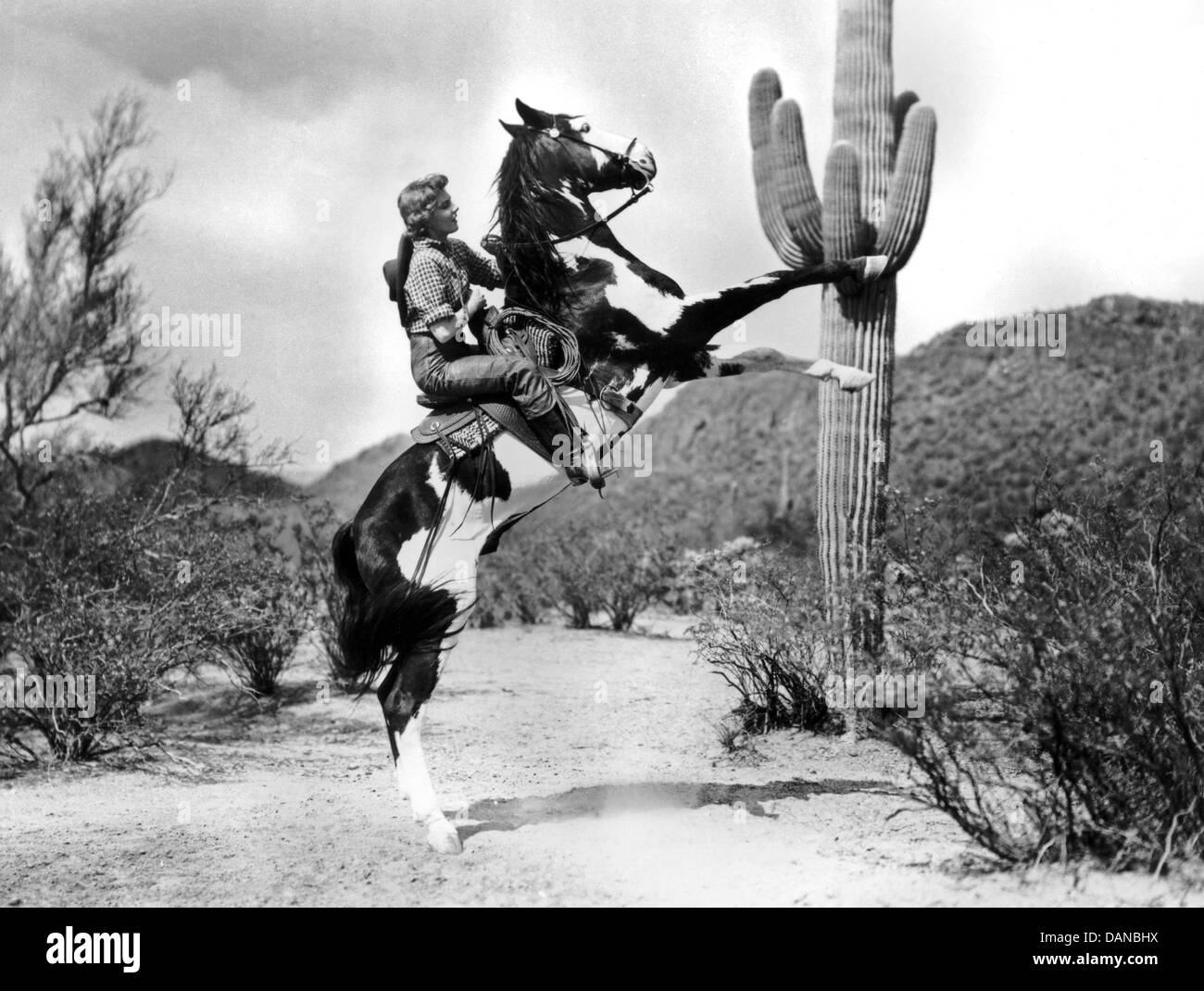 ARIZONA (1940) JEAN ARTHUR, WESLEY RUGGLES (DIR) AZNA 007 MOVIESTORE ...