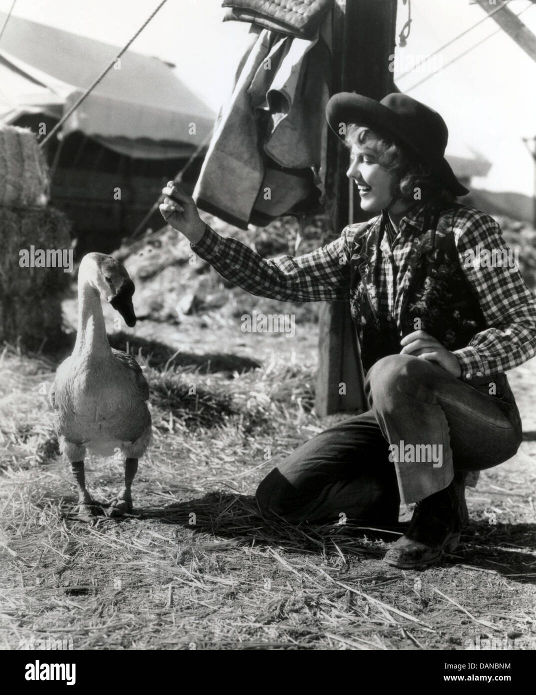 Arthur wesley hi-res stock photography and images - Alamy