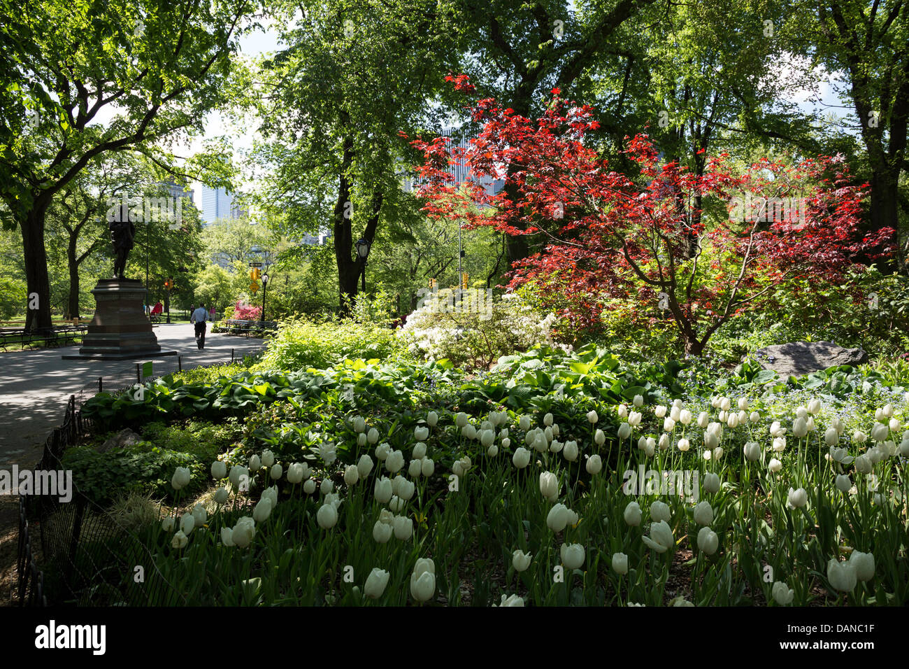 Springtime in Central Park, NYC Stock Photo