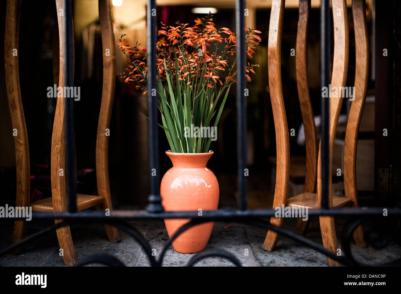 A ceramic vase sits in a store window with beautiful orange flowers in Oaxaca City. Stock Photo
