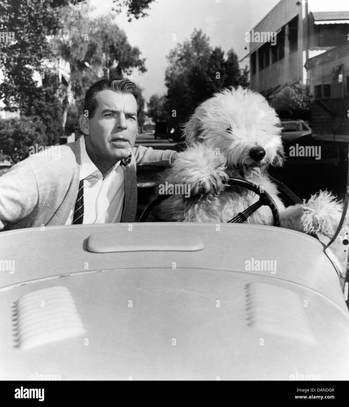 The shaggy dog 1959 fred macmurray hires stock photography and images