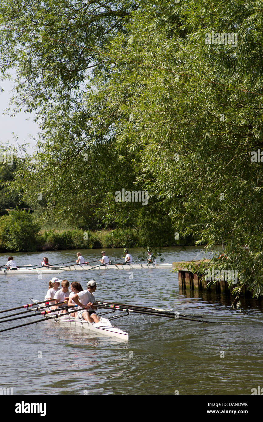 Rowers on the River Thames Stock Photo Alamy
