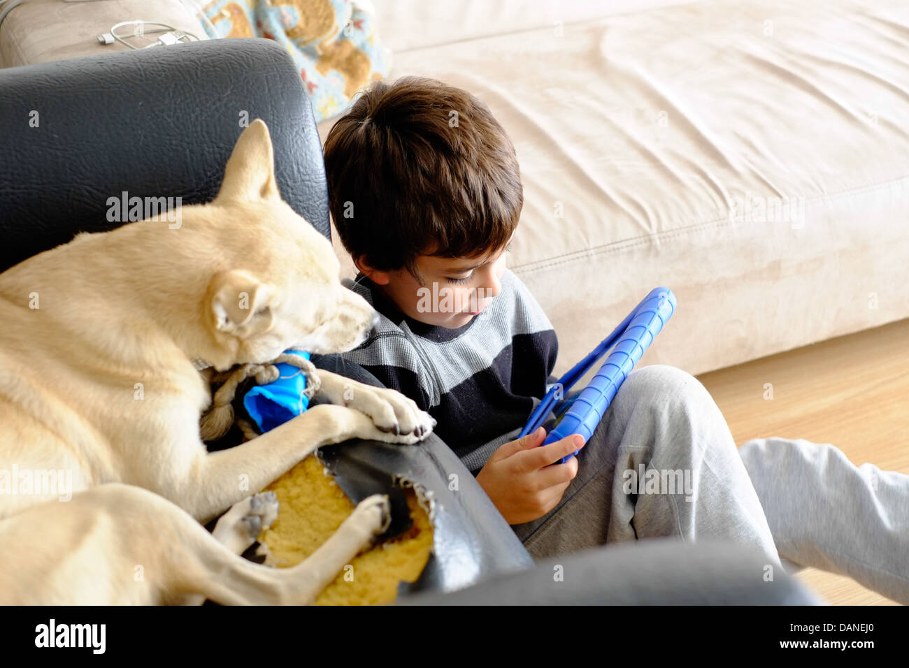 seven years old boy using tablet device Stock Photo - Alamy