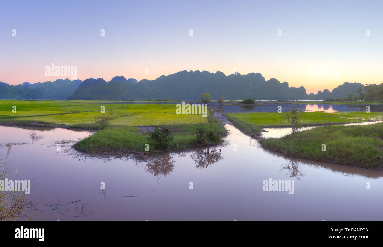 flooded green rice field panorama of burmese agricultural countryside with karst mountain range reflecting at sunset, Burma Stock Photo